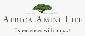 Africa Amini Life