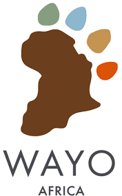 Wayo Africa